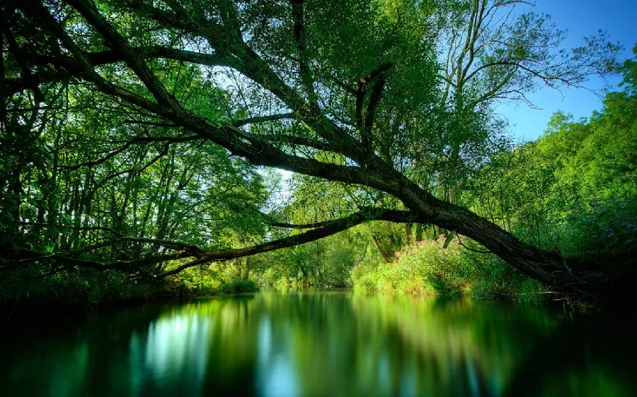 Green Nature and the Masterpiece of New Zealand in an Art Frame for Printing