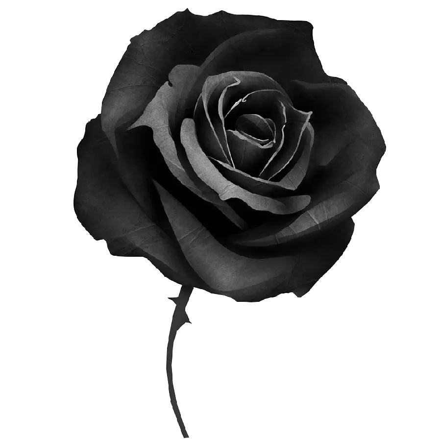 Digital photo of a black flower condolence with excellent quality