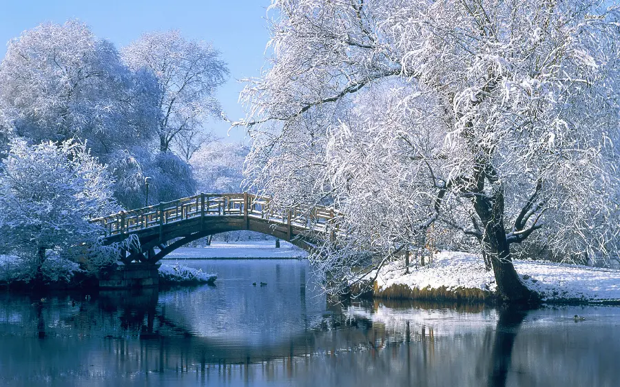 Spectacular Winter Nature Wallpaper for Windows 12