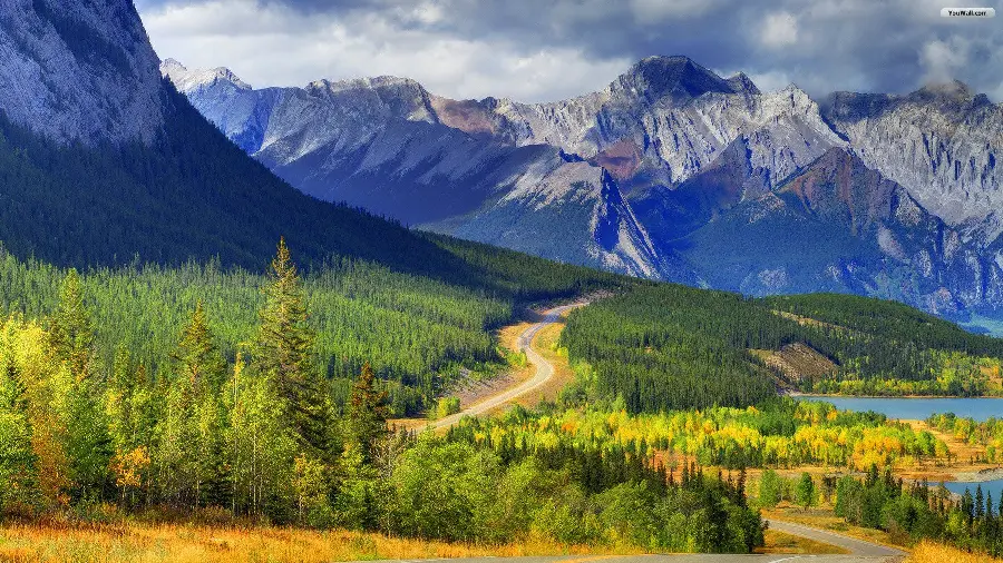 Spectacular wallpaper of lush and amazing nature for iPhone 