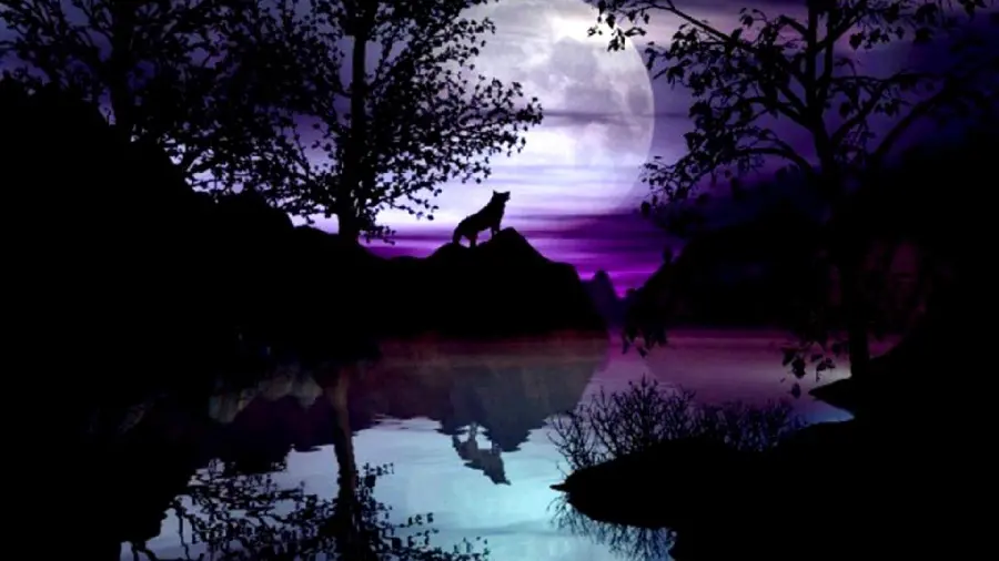 Magical Profile Picture of a Wolf Howling at the Moon for Telegram