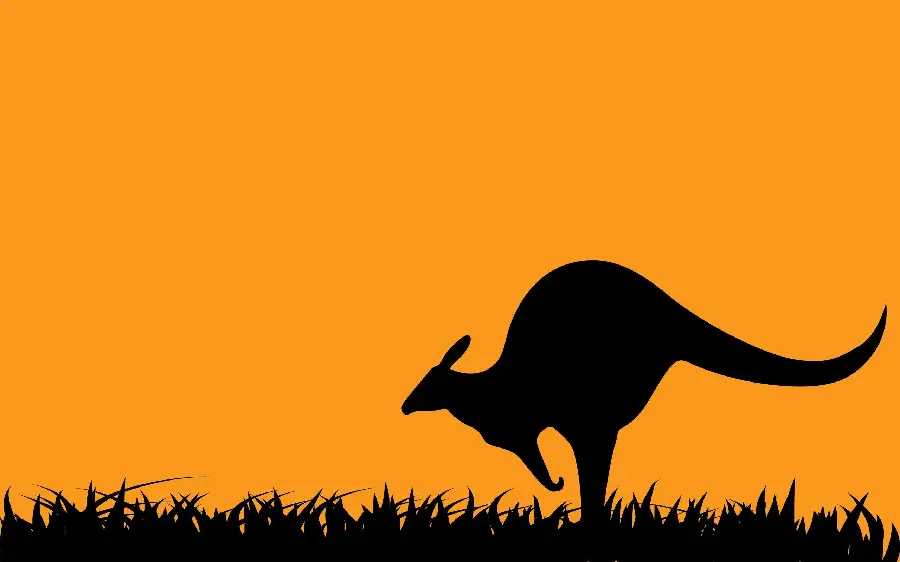 Image of a kangaroo ready to jump over black grass on an orange background
