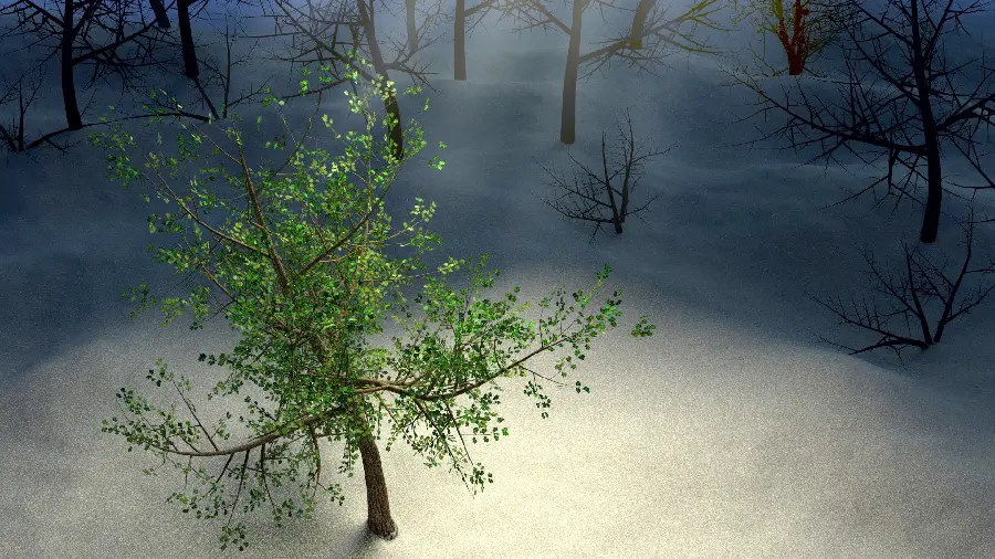 Mysterious background image of nature and the picture of a thin green tree in May