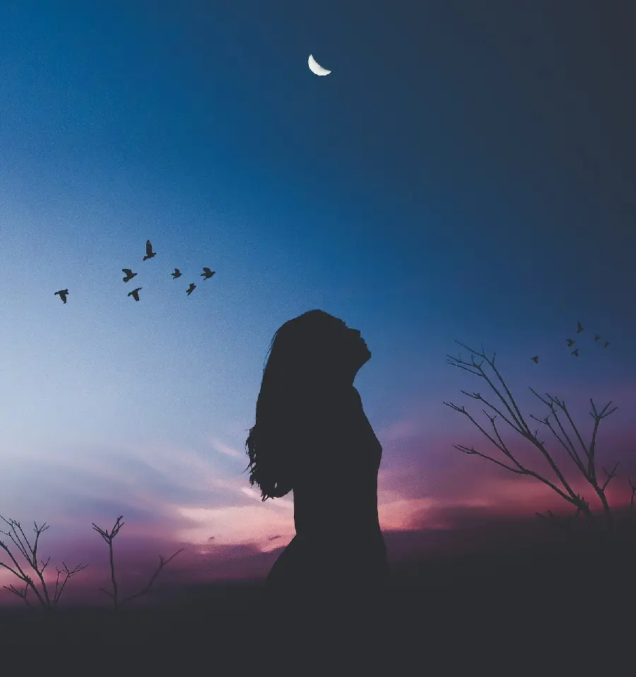 The most famous girly profile picture in the night sky