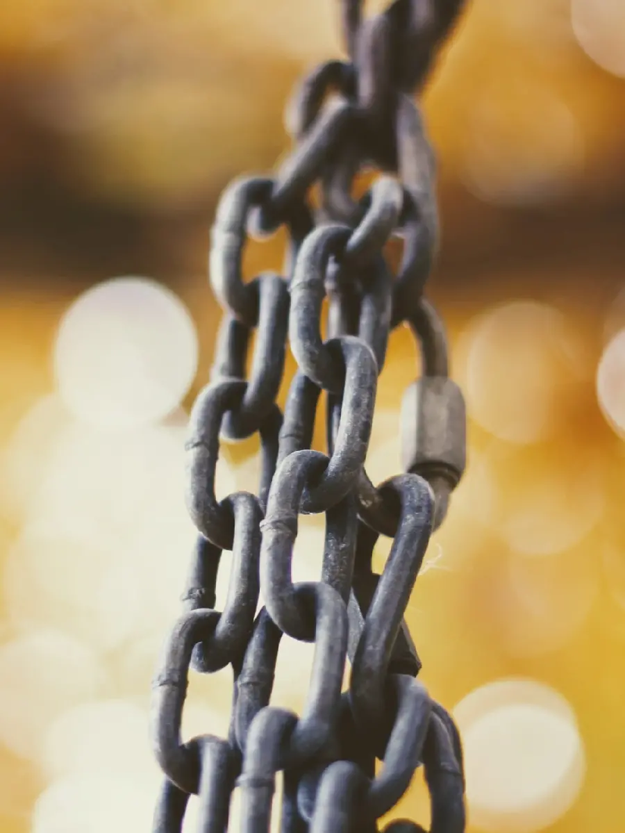 Magical wallpaper with a strong chain design in very good quality