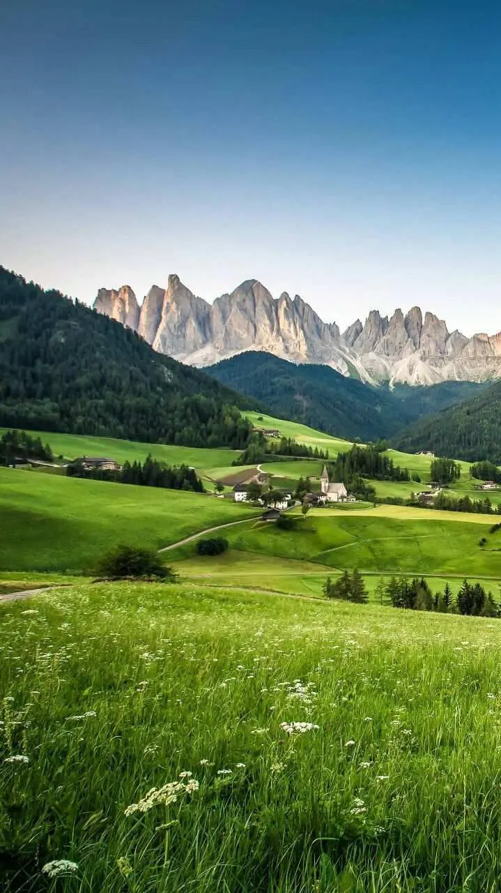 Download attractive stock photo of green nature in 4K quality