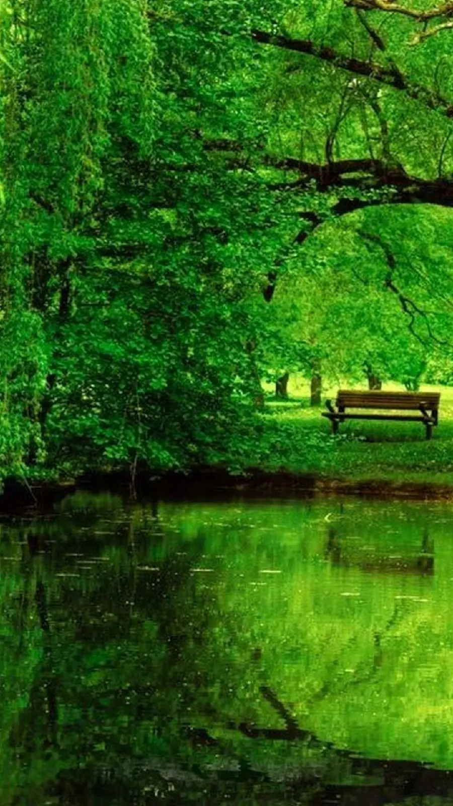 Special wallpaper of an empty bench next to a lush landscape for iPhone