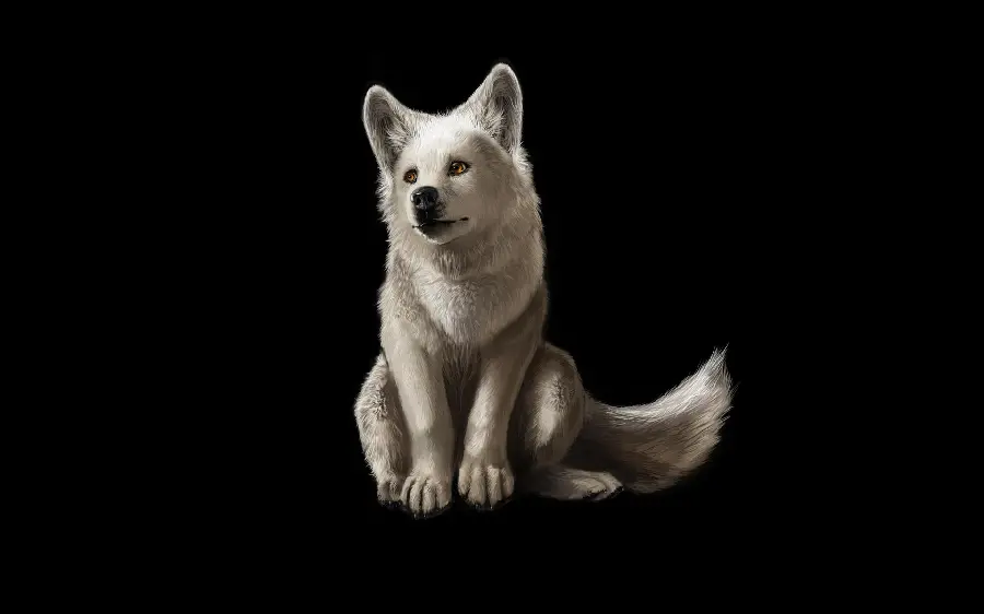 The most beautiful picture of a beautiful white wolf for stories and posts