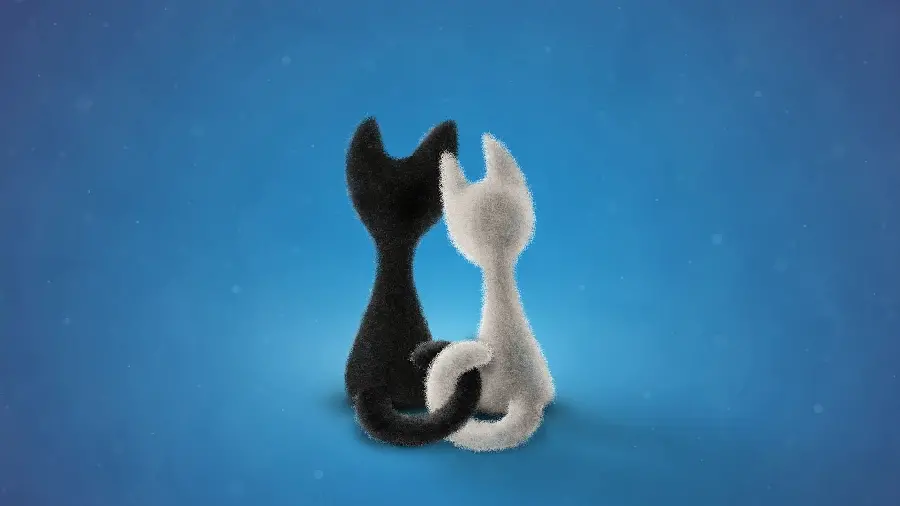 A romantic animated wallpaper of two black and white cats 