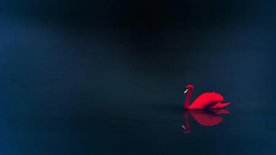 Amazing strong red wallpaper on a dark background with special quality 