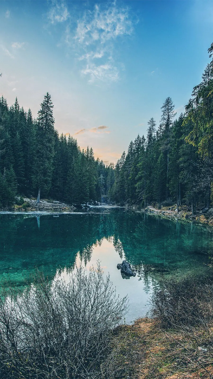 Poster suitable for Android phone with a pond and forest image lush