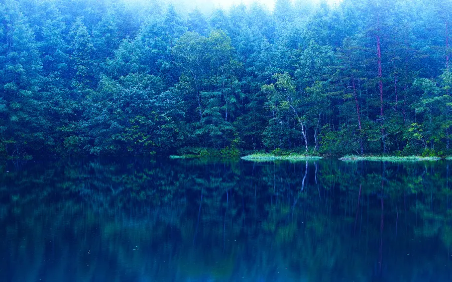 Nature Widescreen Wallpaper of the beautiful reflection of the forest in the lake for Windows 