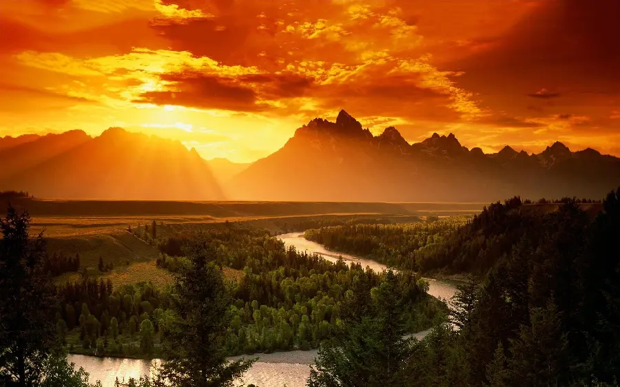 Delightful view of a forest sunset in an artistic view for a Telegram profile 