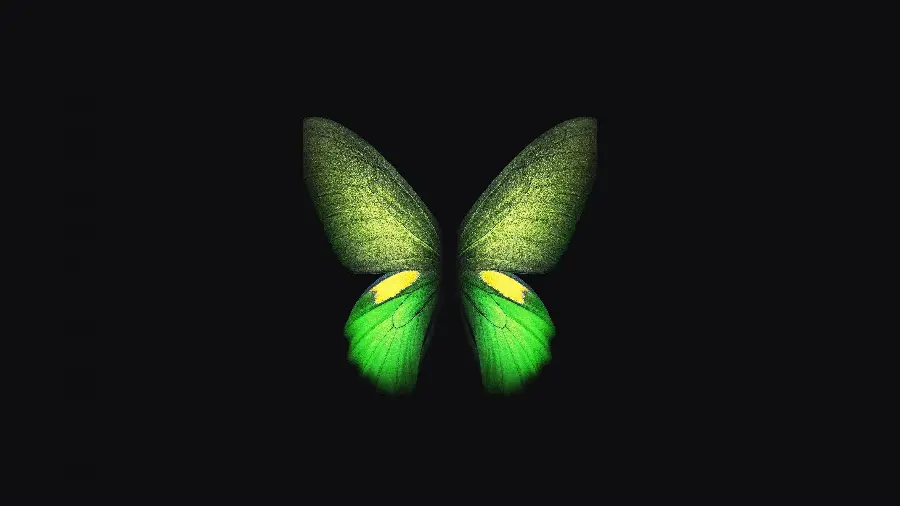 Galaxy Z Fold Wallpaper with Magic Green Butterfly Digital Design