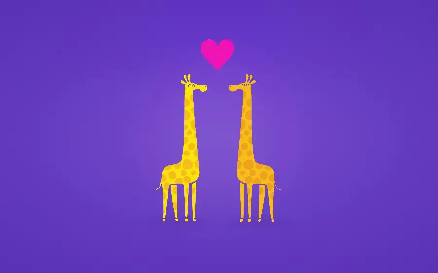 A very beautiful digital photo of two giraffes in love with a purple background for Windows 11 wallpaper