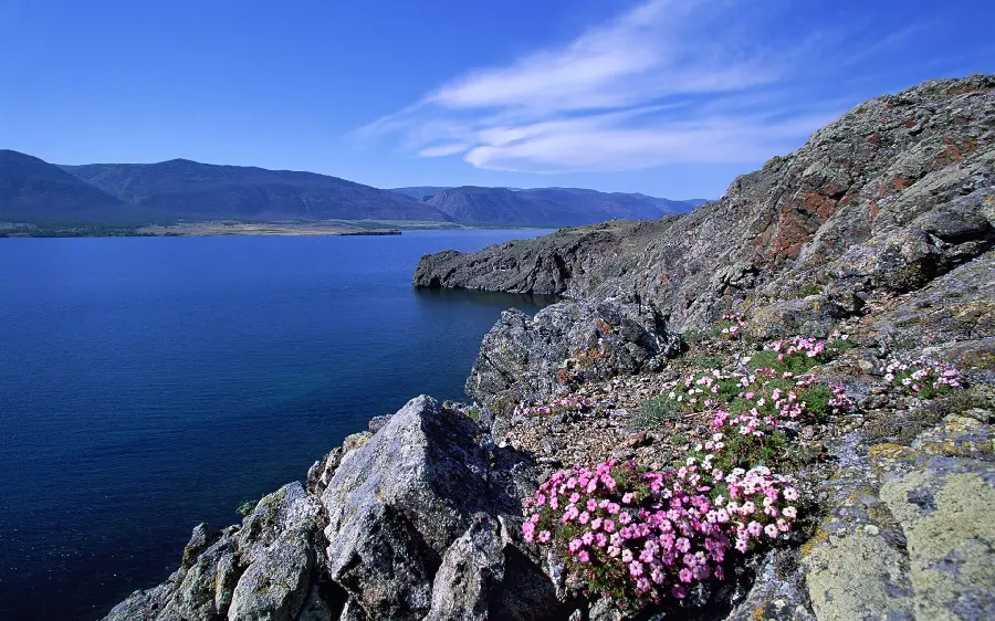 Download image of mountains around the lake in Siberia with beautiful flowers