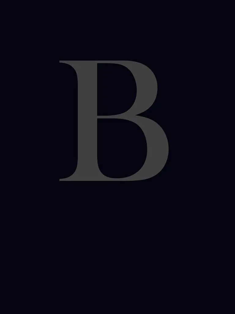 Download the Simple and Stylish English Letter B Profile Picture with a Dark and Attractive Atmosphere