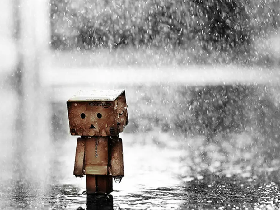 Wallpaper of a famous cartoon character under the rain for the computer 