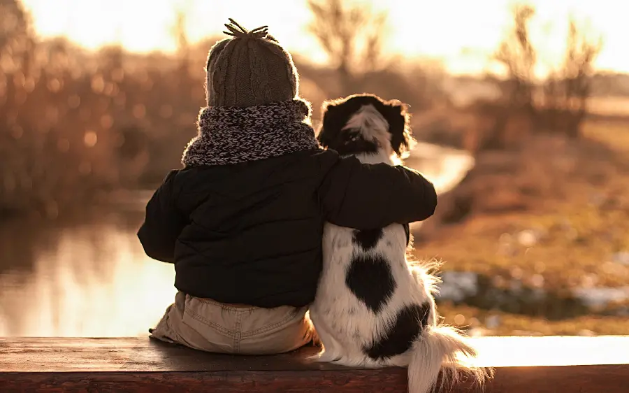 Masterpiece profile photo of a little boy's sincere friendship with a black and white dog Full HD 