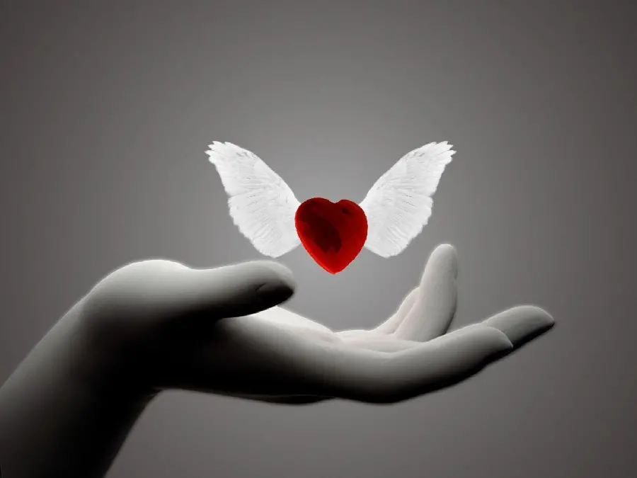 Beautiful Profile Small Red Heart Flying on Hand for Telegram 
