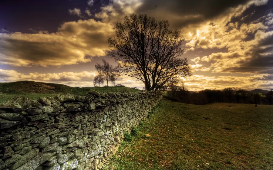 Download interesting nature wallpaper of a short stone wall suitable for widescreen