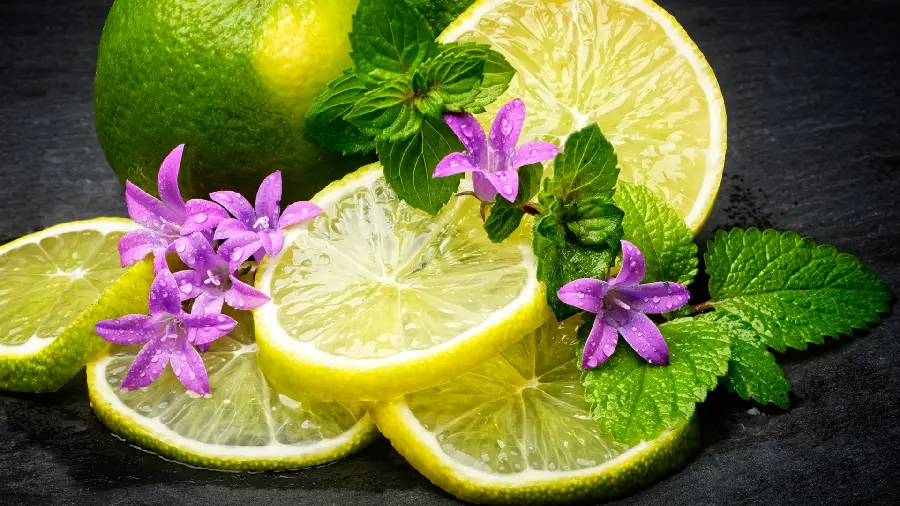 Download spectacular stock photo of lemon slice with flower decoration 2022