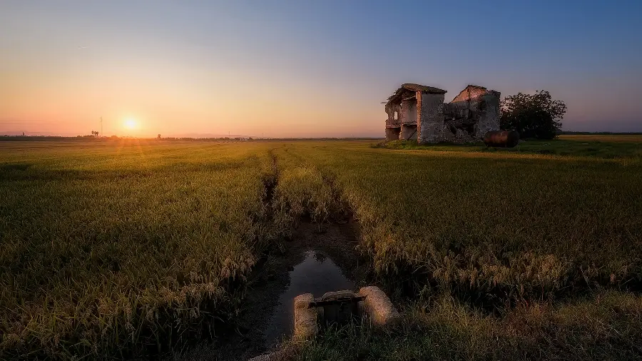 Download interesting background photo of green field and its paths in sunset nature and ruined house landscape photo