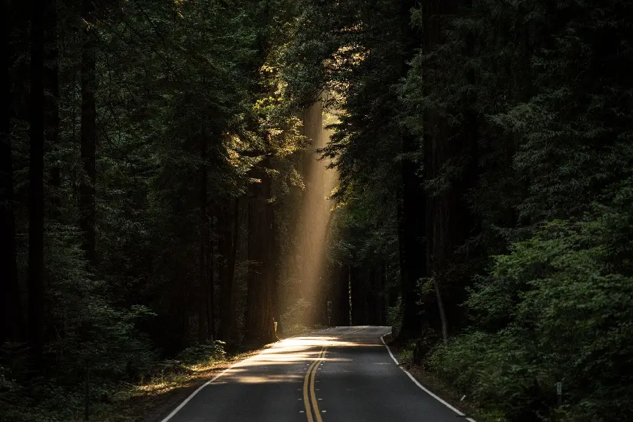 Computer background with a beautiful light hole design on a forest road