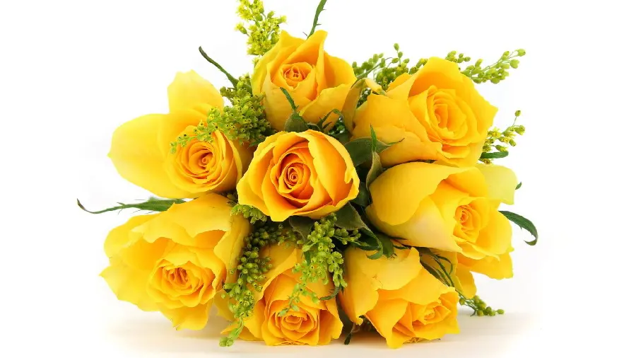 Interesting view of a bouquet of yellow roses with a white background in good quality 