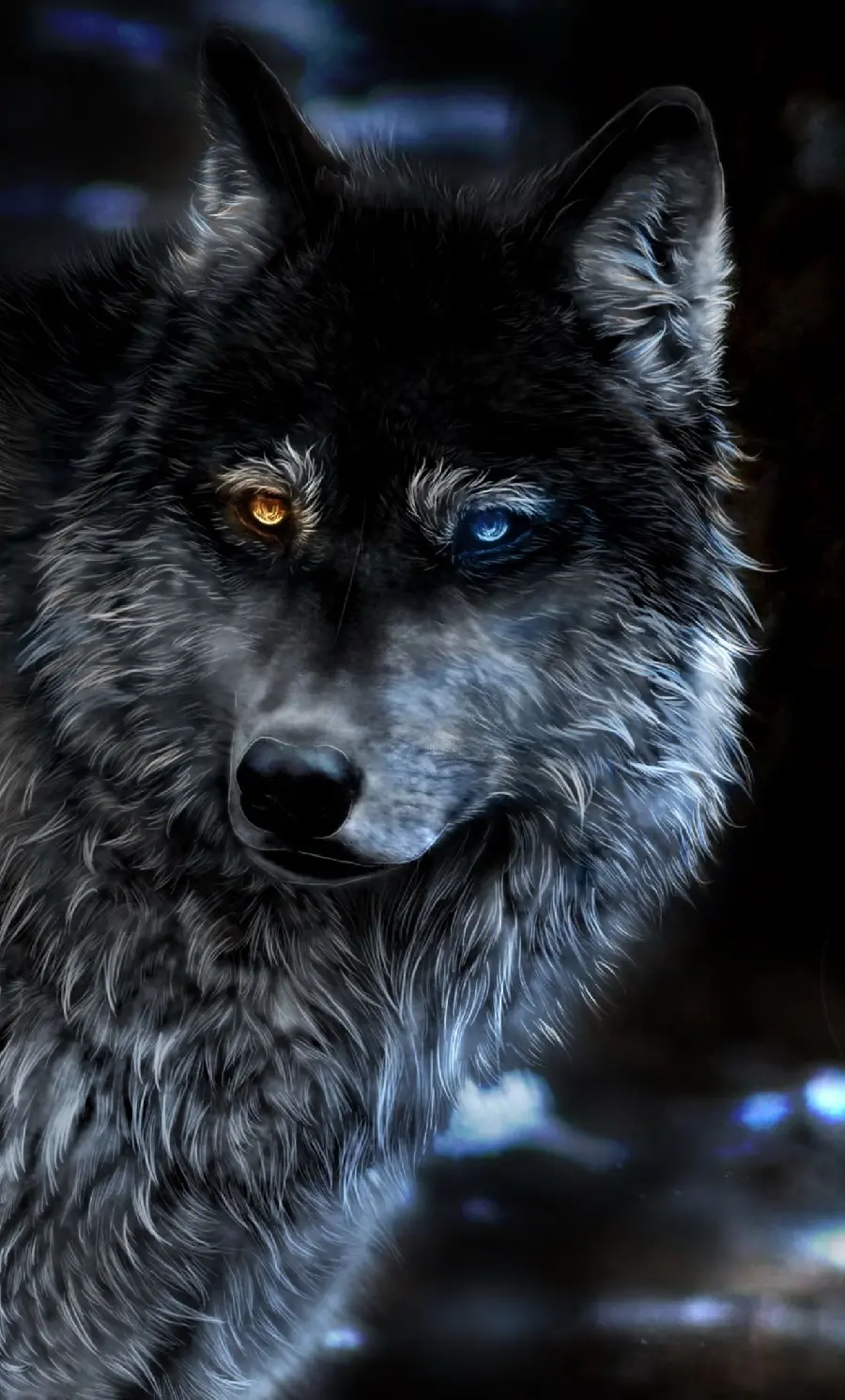 The most beautiful wild wolf photo suitable for wallpaper