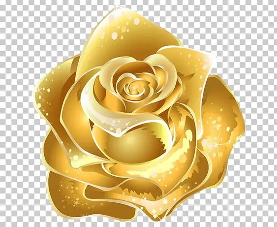 A fantasy and checkered profile photo of a large and shiny golden rose