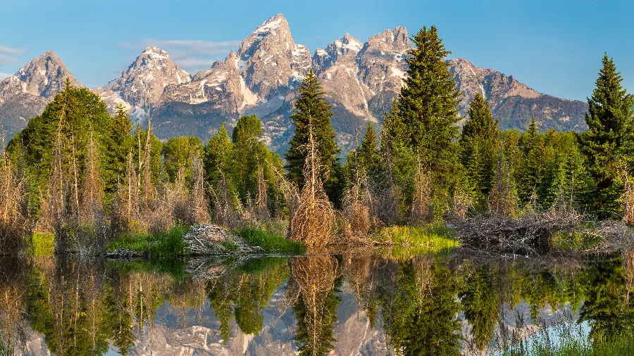 The most visited wallpaper with a lakeside nature view in ideal quality 