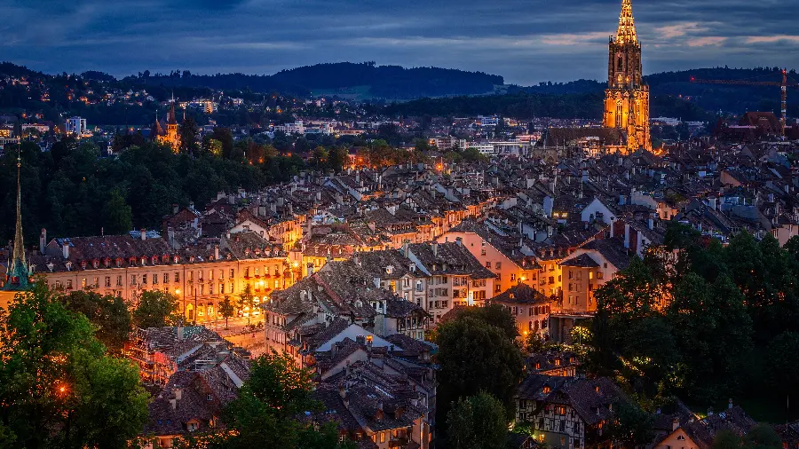 Vector of the old city glow at night and the forest nature in high quality