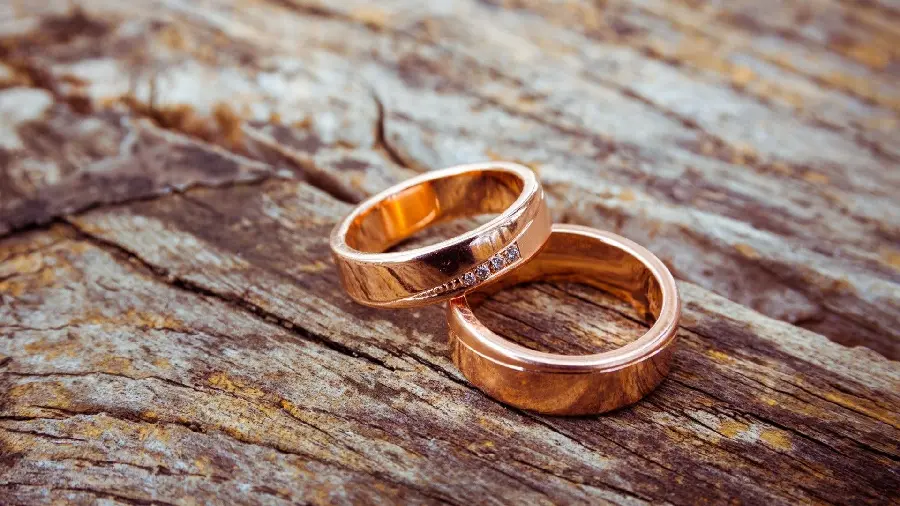 Unique background photo of 2 bronze wedding rings on a tree trunk suitable for tablets