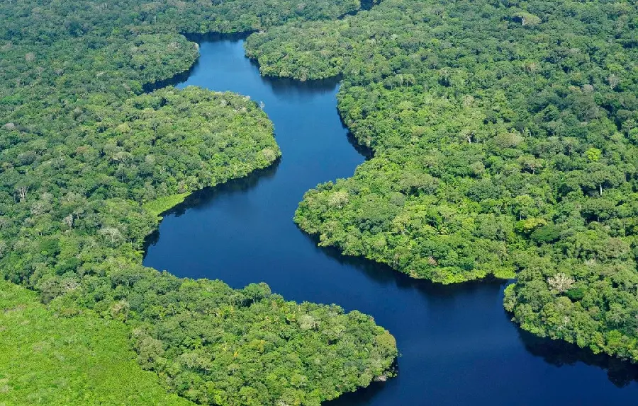 Beautiful wallpaper of the Amazon River in the heart of the green and large forest