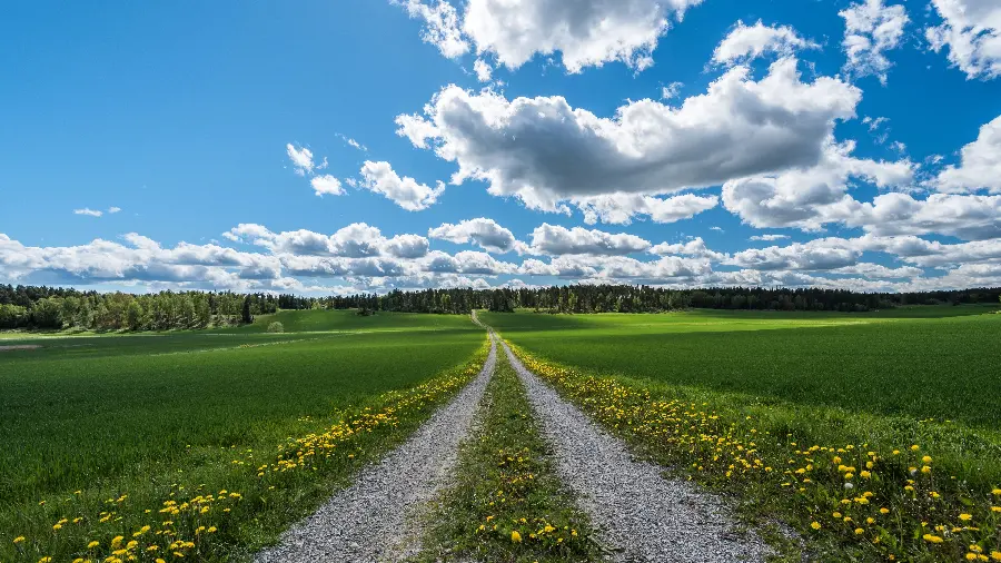 Dreamy background of the road in the heart of natureGreen with the best quality