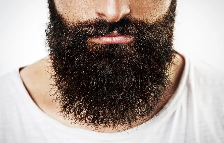 The best men's beard model and special with a sloppy theme