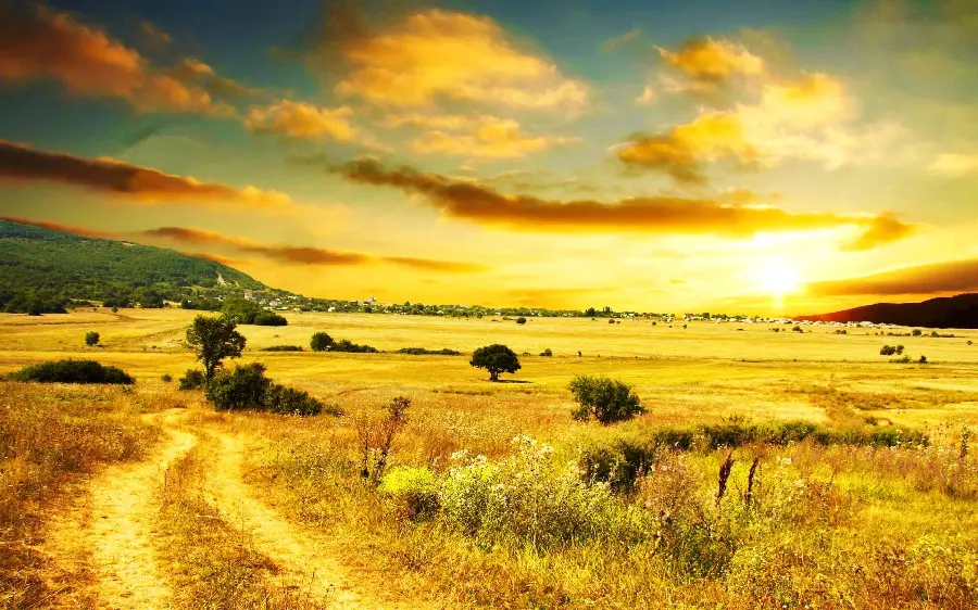 New photo of a spectacular view of a beautiful plain with a golden color theme in excellent quality 