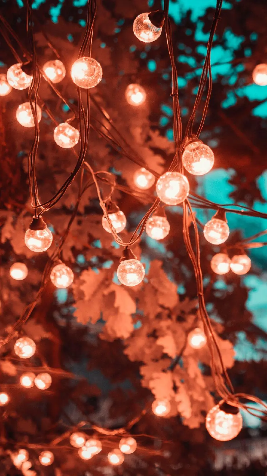 The most spectacular stock image of bright and beautiful lamps for your profile