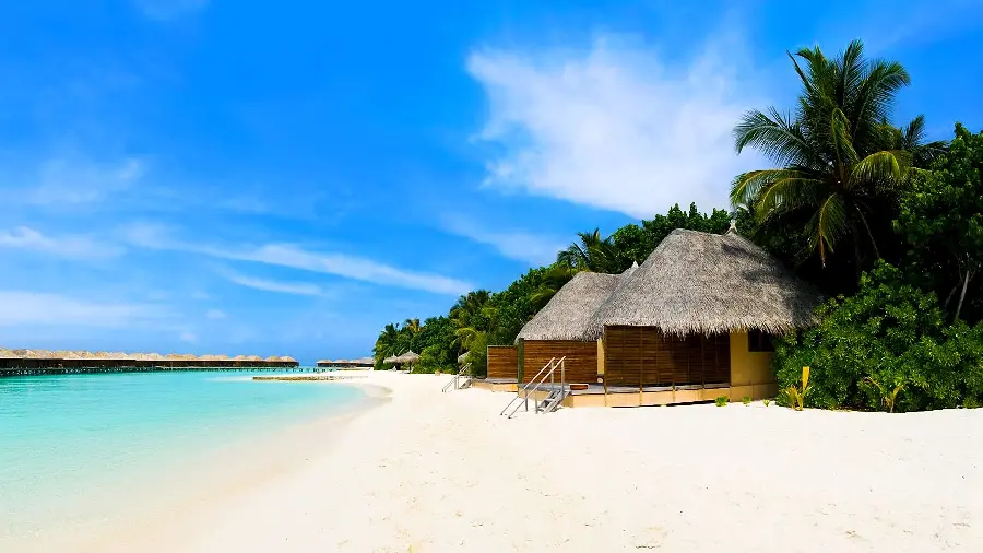 Beautiful stock photo of a beach house villa with sun loungers by the beach and green trees in high quality