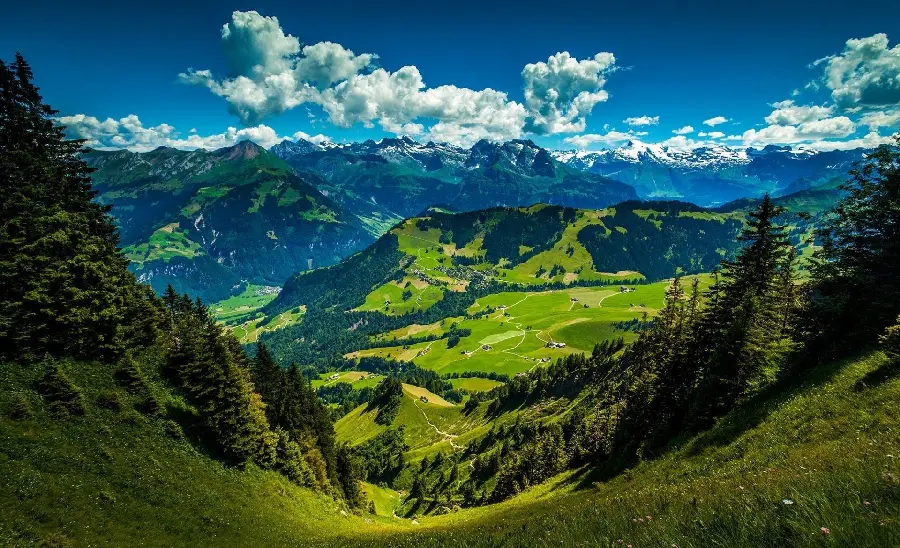 Admirable view of lush and pleasant nature from above with the most special quality 