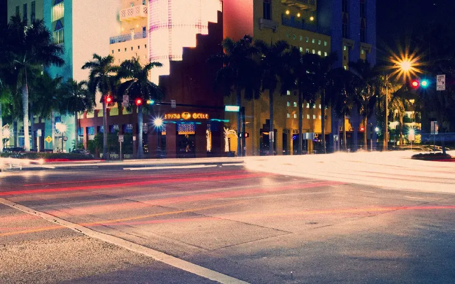 A beautiful stock photo with palm trees around a city road with red lines