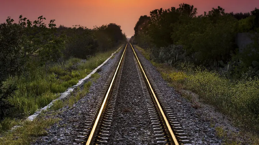 Download wallpaper for the special of the train tracks among the green wars for the WhatsApp background