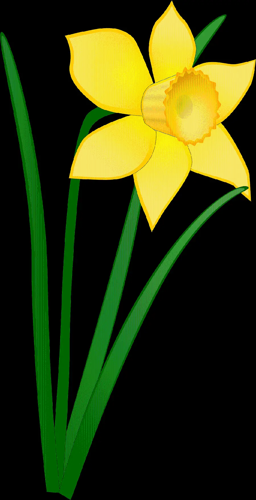 Fantasy PNG photo of yellow daffodils with green leaves