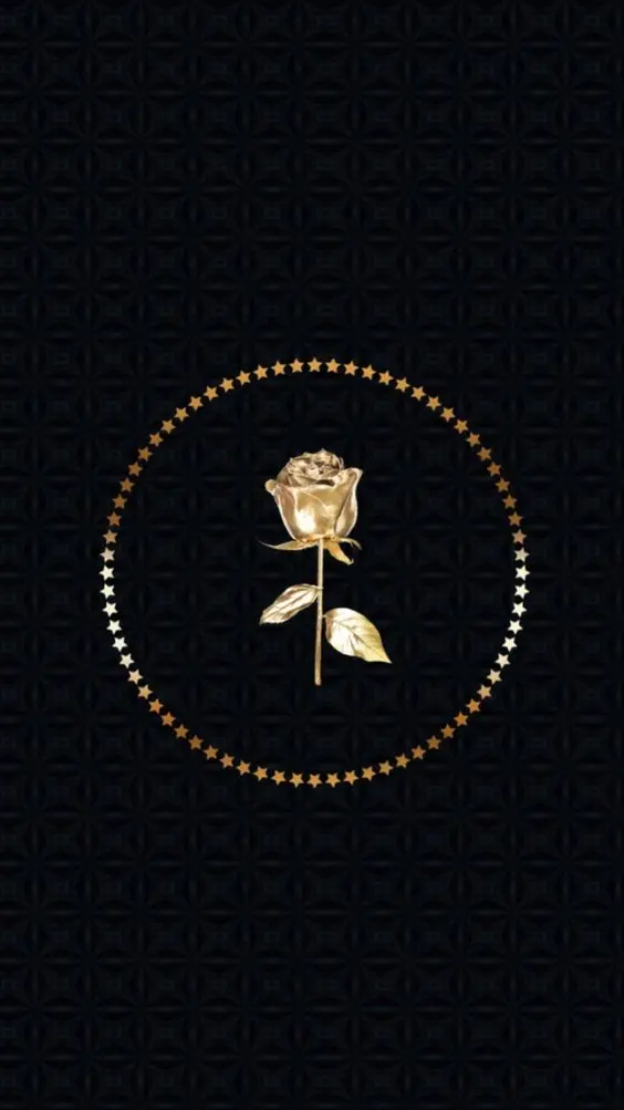 A poster of a small and cute golden rose with a starry circle around it on a black background