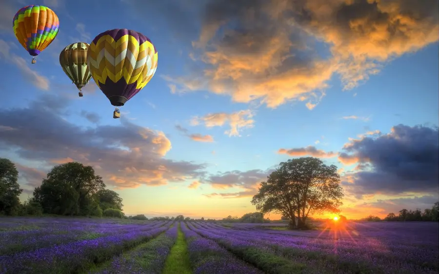 Sparkling background with balloon design in a beautiful flower field 