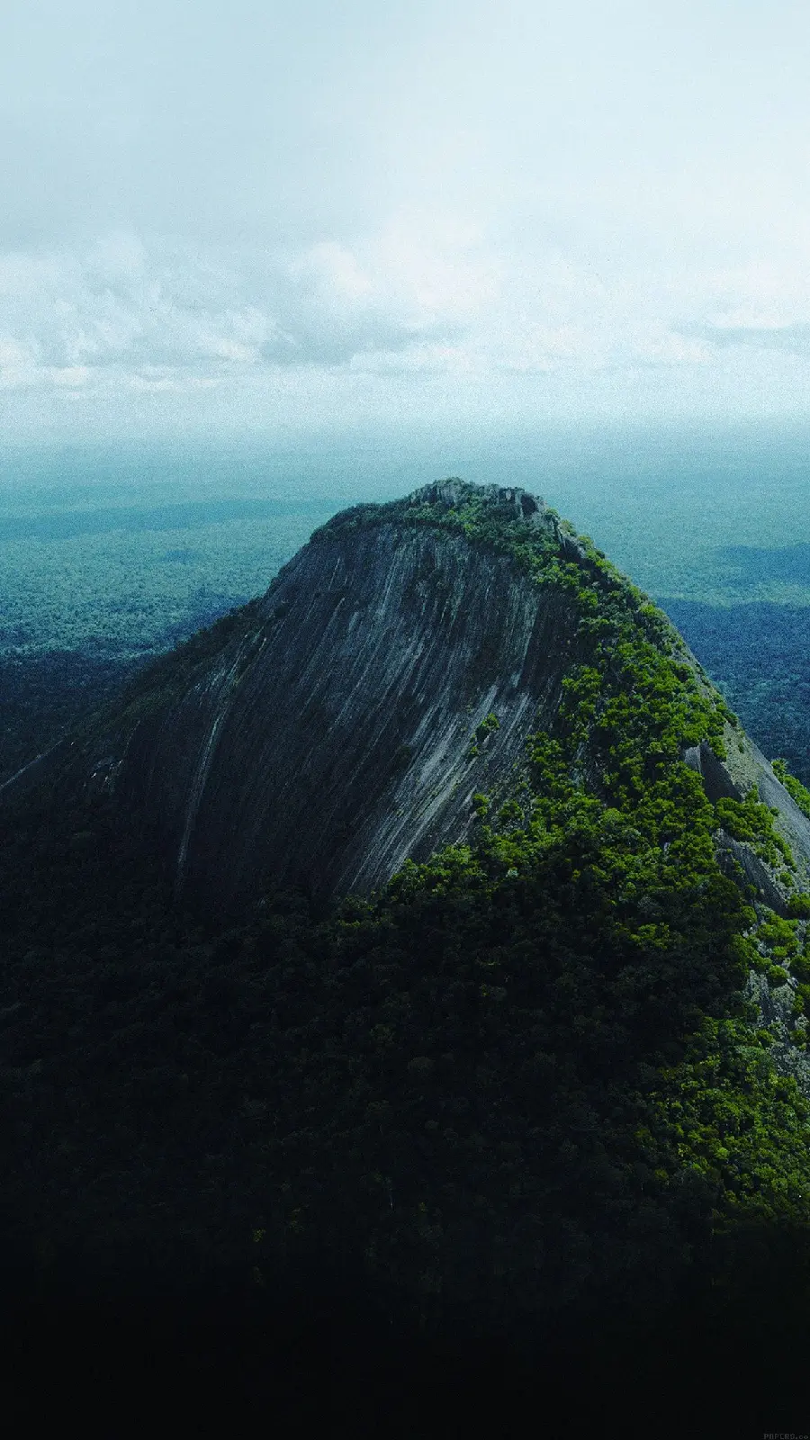 The most viewed phone wallpaper with a green nature design on top of the mountain