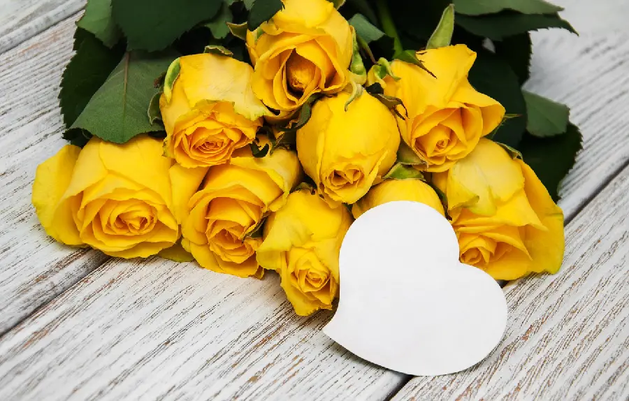 New romantic background of yellow roses for making stories