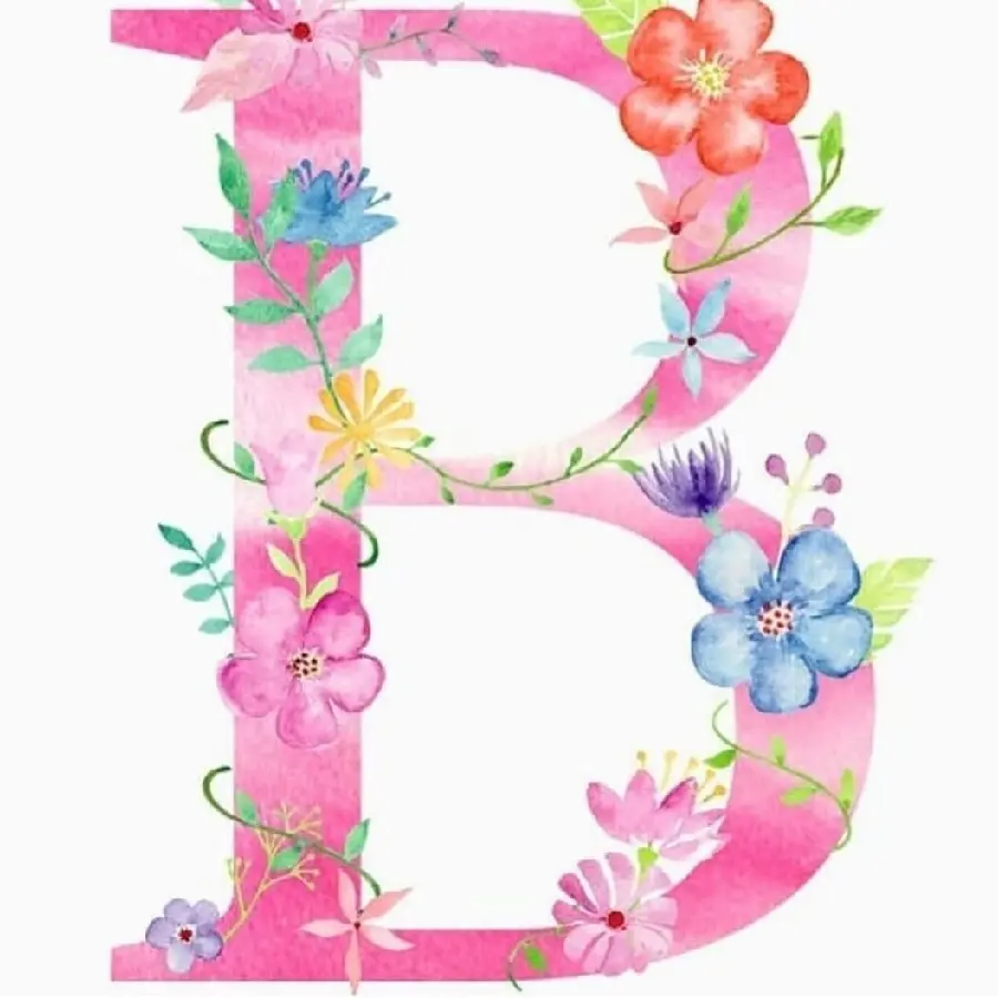 Girly profile picture with the English letter B