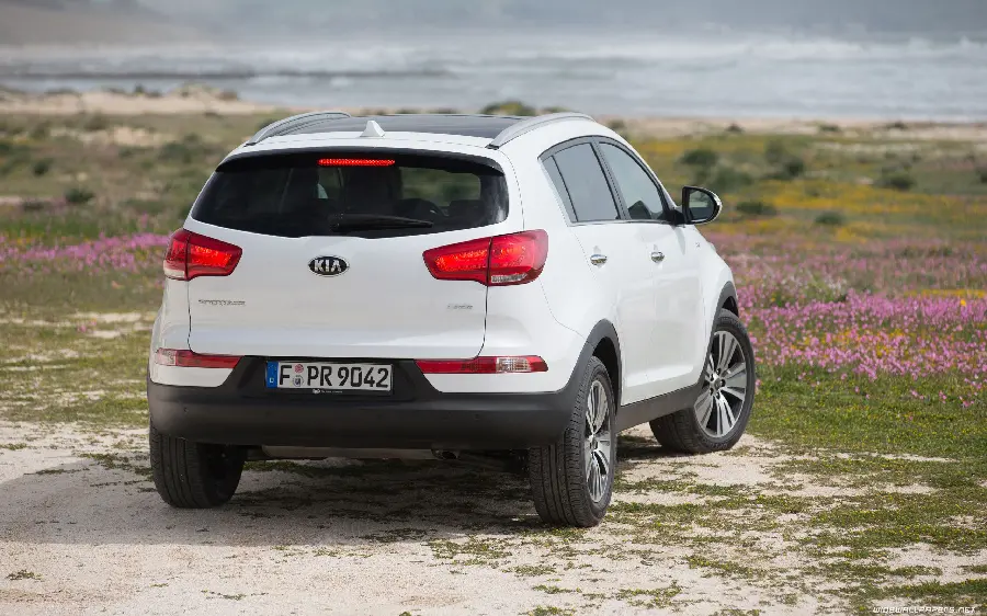 New Kia Sportage image with glossy white paint from the back